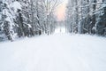 Winter forest with Beech trees and Pinophyta covered with white snow. Winter landscape. Winter scene in mountains, Italy Royalty Free Stock Photo