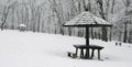 Winter forest bench. Panorama landscape Royalty Free Stock Photo