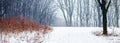 Winter forest during a blizzard, meadow in the winter forest Royalty Free Stock Photo