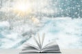 Winter forest book