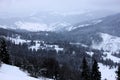 Winter forest in the Carpathian