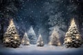 Winter forest with Christmas trees winter nature, holiday background snowy rural landscape winter wonderland Royalty Free Stock Photo