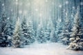 Winter forest with Christmas trees winter nature, holiday background snowy rural landscape winter wonderland Royalty Free Stock Photo