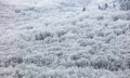 Winter Forest clouds Landscape aerial view trees background Travel serene scenery