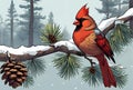 Pine Tree Branch with Red Cardinal Bird Winter Illustration Royalty Free Stock Photo