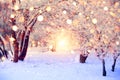 Winter forest with colorful snowflakes. Snow covered trees with christmas lights. Christmas wonderland background.