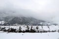 Winter forest covered with fog on a mountainside Royalty Free Stock Photo