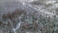 The foggy winter forest is covered with fresh snow. Shooting from a height, a drone. Frost, beauty