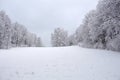 The winter forest is covered with fresh snow. The mountains and hills are completely white. Snow is falling, the sky is gray, Royalty Free Stock Photo