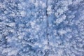 Winter forest covered in thick snow. Aerial landscape