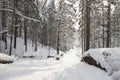 Winter forest covered with white fluffy snow Royalty Free Stock Photo