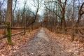 Winter Forest Fence Lined Trail in Suburban Willow Springs Royalty Free Stock Photo