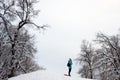 Winter forest with a figure of a girl admiring nature Royalty Free Stock Photo