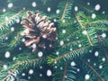 Winter forest fir tree branches and snow fall background Royalty Free Stock Photo