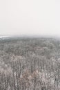 Winter forest in fog or myst, aerial view. White nature landscape, frost and tranquility