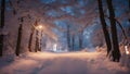 winter forest in the fog a snowy path in the woods at night Royalty Free Stock Photo