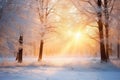 Winter forest with frost and snow, sun rays penetrate through the trees