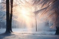 Winter forest with frost and snow, sun rays penetrate through the trees