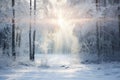 Winter forest with frost and snow, sun rays penetrate through the trees