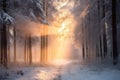 Winter forest with frost and snow, sun rays penetrate through the trees Royalty Free Stock Photo