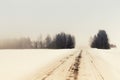 The winter forest has plunged into fog