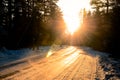 Winter forest, icy snow-covered road and beaming rays of sunset landscape