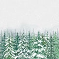 Winter forest illustration on gray background. Hand painted spruce and pine trees illustration with falling snow Royalty Free Stock Photo