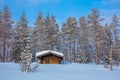 Winter forest Landscape after blizzard Royalty Free Stock Photo