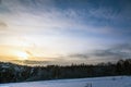 Winter forest landscape