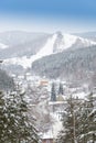 Winter forest landscape with snow sloping hills