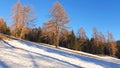 Winter forest landscape with snowy slope