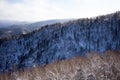 Winter forest landscape view from Mount Kurodake.