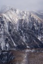 Winter forest landscape view from Mount Kurodake.