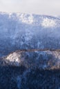 Winter forest landscape view from Mount Kurodake.