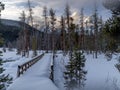 Winter forest morning with footbridge and high mountain