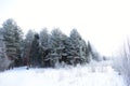 In the winter forest, the mountain range is a ski track. Trees stand in silvery frost. Everything is covered with fluffy snow Royalty Free Stock Photo