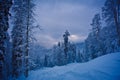 Winter forest in the mountains