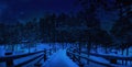 Winter forest at night. View of wooden path covered in snow among pine trees forest in winter. Walk at night in coniferous forest Royalty Free Stock Photo