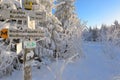 Winter Forest Ochsenkopf Royalty Free Stock Photo