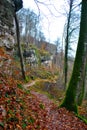 Winter forest path next to the rocks