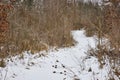 Winter Forest Path in Snow, Bare Trees, Tranquil Walk Perspective Royalty Free Stock Photo