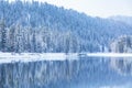 Winter forest river landscape. Snow covered trees and river with reflections against mountain. Altai Republic, Russia