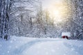 Winter forest with road and sunlight, big trees and snow Royalty Free Stock Photo