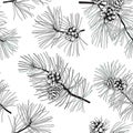 Winter forest seamless pattern with pine branches and cones. Evergreen floral christmas vector illustration. Engraving hand-drawn Royalty Free Stock Photo