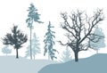 Winter forest, silhouette of bare tree, spruce, pine. Beautiful nature, landscape. Vector illustration Royalty Free Stock Photo
