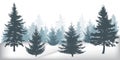 Winter forest, silhouettes of beautiful spruce trees