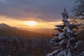 Winter forest with snow-covered fir trees high in the mountains. Dawn with bright colors on the horizon far away in the mountains Royalty Free Stock Photo