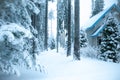 winter forest and snow-covered house. Firs and pines in the snow, landscape Royalty Free Stock Photo