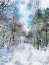 Winter forest with snow-covered pines. Forest path Royalty Free Stock Photo