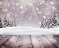 Winter forest snow landscape. Holidays background. Winter Scene. New Year greeting card with Christmas trees Royalty Free Stock Photo